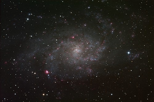 M33-330min-CDK12-2013-10-01-500x333